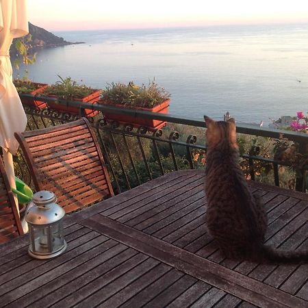B&B Case Rosse Camogli Zewnętrze zdjęcie