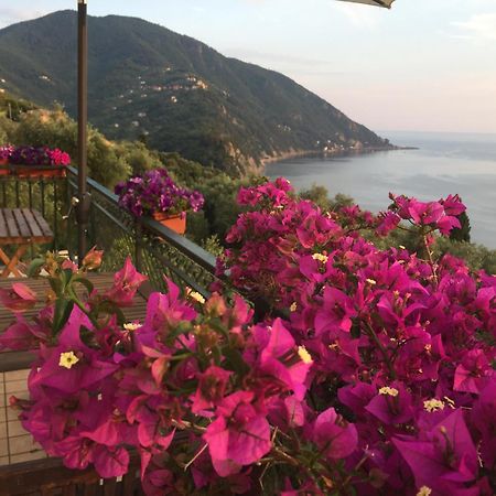 B&B Case Rosse Camogli Zewnętrze zdjęcie