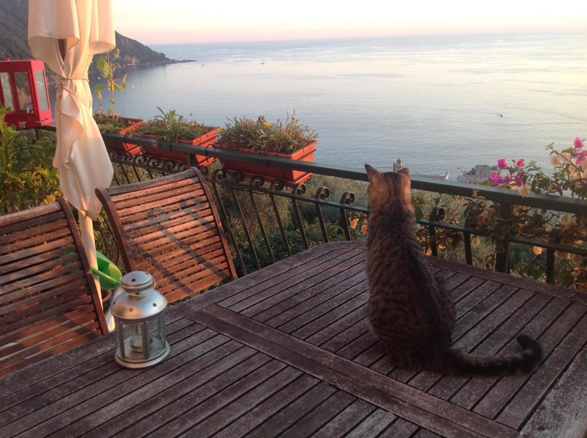 B&B Case Rosse Camogli Zewnętrze zdjęcie