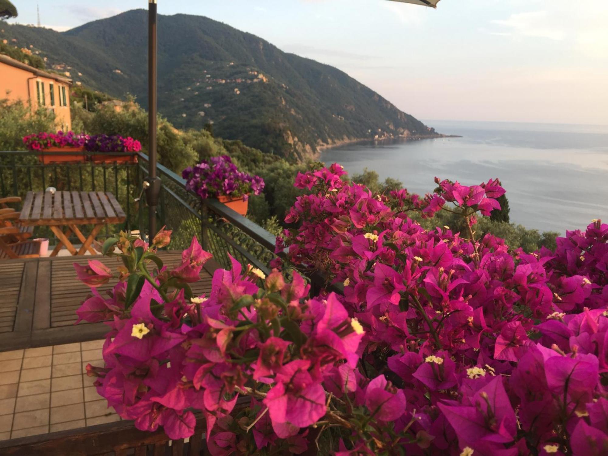 B&B Case Rosse Camogli Zewnętrze zdjęcie